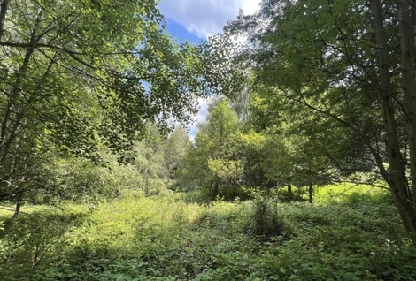 Węgierska Górka, Modrzewiowa